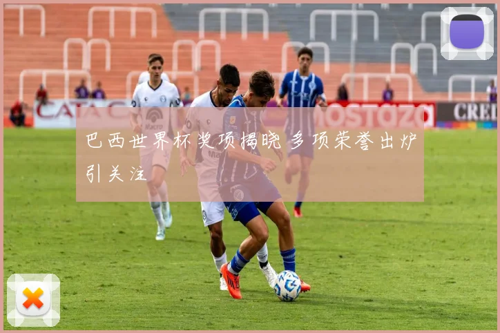巴西世界杯奖项揭晓 多项荣誉出炉引关注